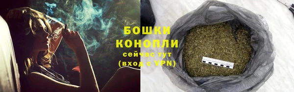 наркотики Бородино