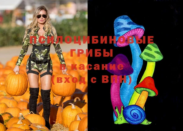 mdpv Бугульма