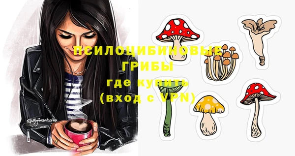 дурь Ветлуга