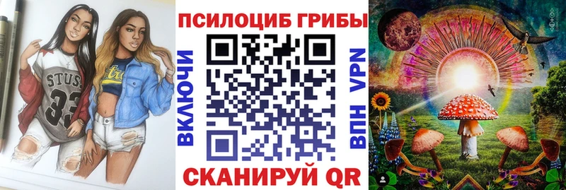 гидра ссылка  купить закладку  Дальнегорск  Галлюциногенные грибы Psilocybine cubensis 
